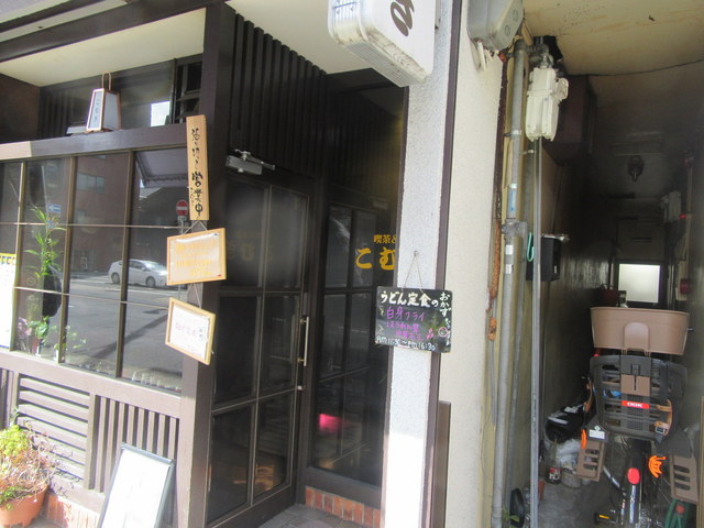 こむぎ的实拍高清图