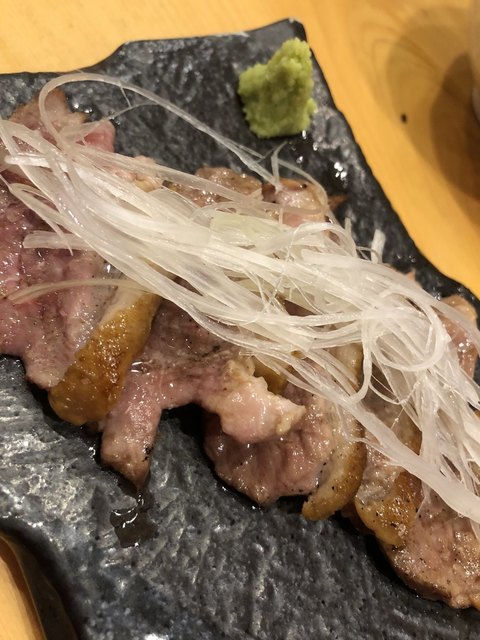 鶏鷹的實拍高清圖