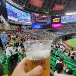 博多ぐるぐるとりかわ 竹乃屋 福岡PayPayドーム店的實拍圖