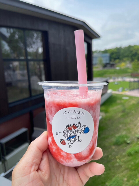 recommendations image for ICHIBIKO 北海道ボールパークFビレッジ店