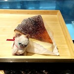 recommendations for sole de conon