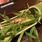 黒茶屋的實拍圖