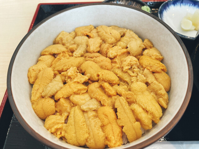 雲丹ノ蔵的實拍高清圖