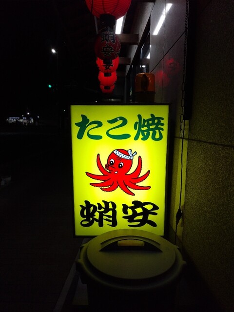 蛸安的实拍高清图