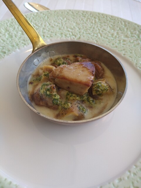 recommendations image for テラコヤ