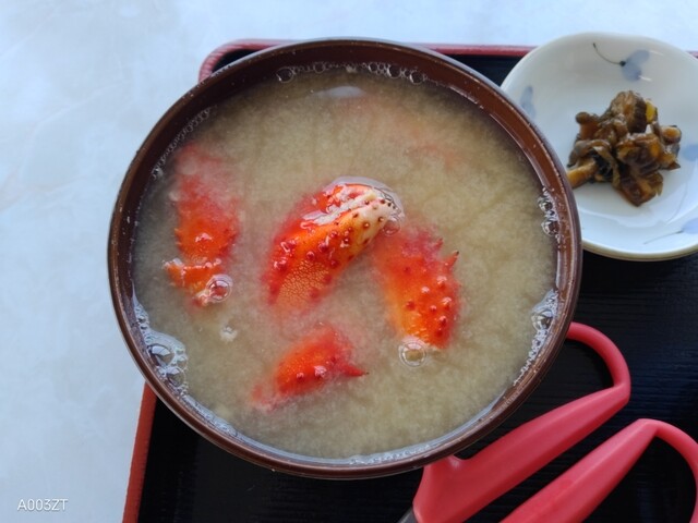 鈴木食堂的实拍高清图