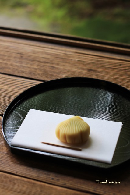 無鄰菴的實拍高清圖