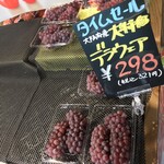 recommendations for ichica