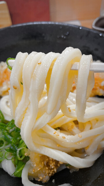 本格手打ちうどん まごころ的實拍高清圖