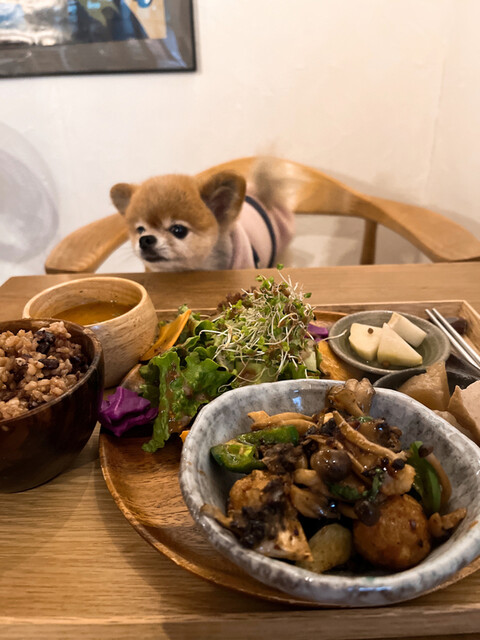 recommendations image for Vegeto Coffee