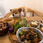 recommendations for Vegeto Coffee