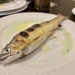 スペインバル・ジローナ的實拍圖