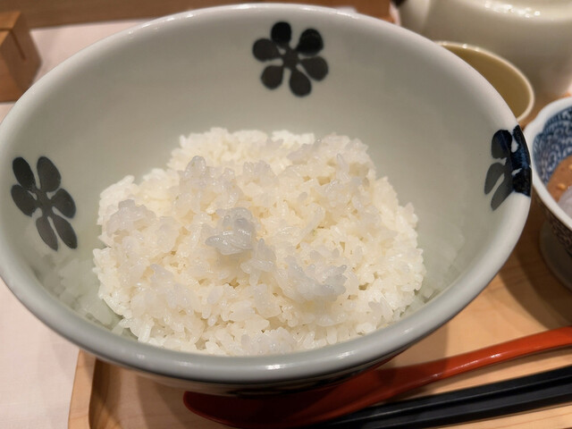 recommendations image for だし茶漬け+肉うどん えん 日本生命札幌ビル店