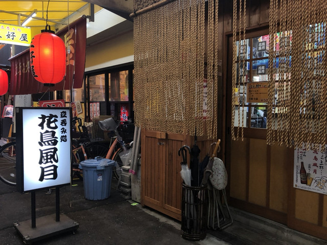 花鳥風月的实拍高清图