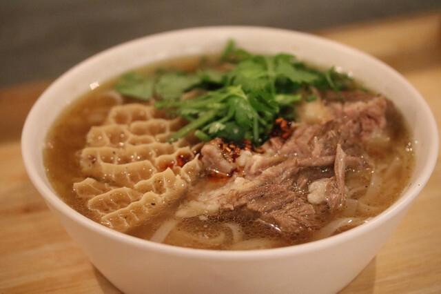 小梟的实拍高清图