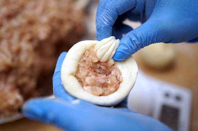 recommendations image for 東京豚饅