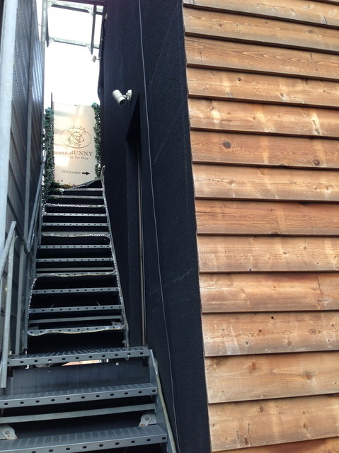 recommendations image for ミス・バニー