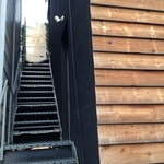 recommendations for ミス・バニー