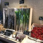 recommendations for サラダーマン
