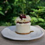 recommendations for RIVA chocolatier