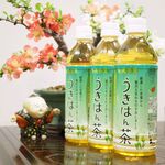 稚加榮茶寮 いっぴん通り店的實拍圖