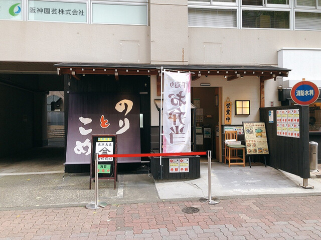 のりとこめ的實拍高清圖