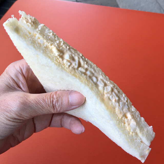 Pasco New Osaki的實拍高清圖