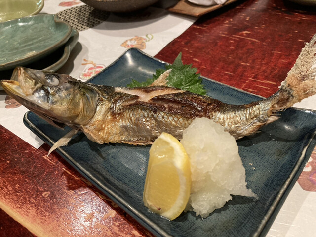 桂川的實拍高清圖