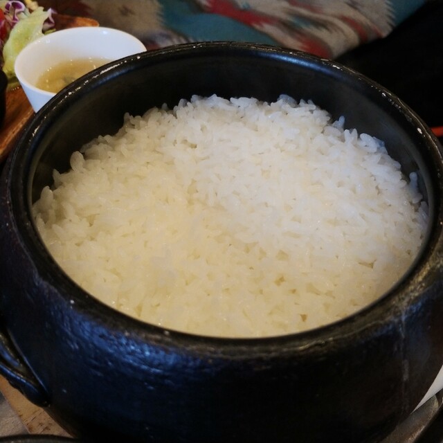 RICE的实拍高清图