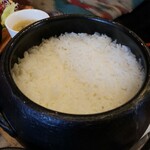 RICE的实拍图