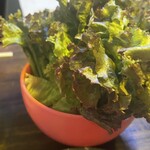 チーズタッカルビ食べ放題 75chacha的實拍圖