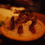 recommendations for 魚屋豪椀