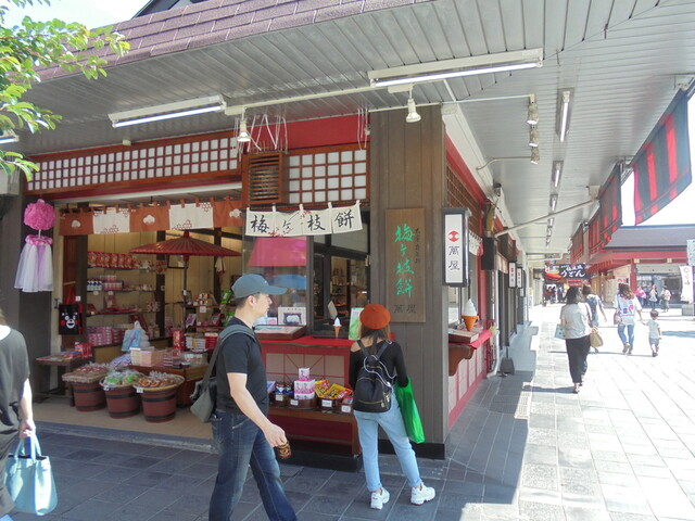 かくだ商店的實拍高清圖