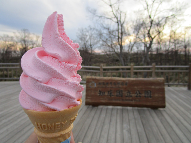 知床五湖レストハウス的實拍高清圖