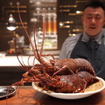 recommendations for スガラボヴィー