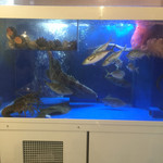 海鮮居酒屋 天秤棒 玉造店的实拍图