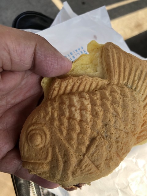 たい焼きココ的实拍高清图