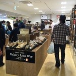 recommendations for Kanto