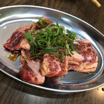 recommendations for トンちゃん