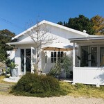 recommendations for BeachHouseStyleCafe sunflower