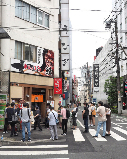 まんまる的實拍高清圖
