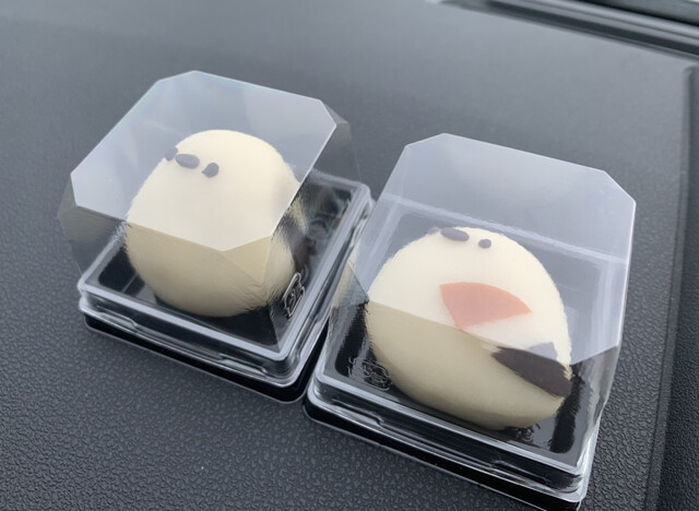 つくし牧田的实拍高清图