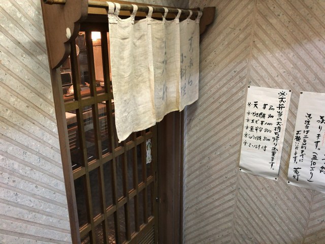若竹的實拍高清圖