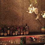 recommendations for Erin