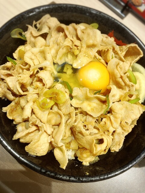 recommendations image for 伝説のすた丼屋  ヨドバシAkiba店