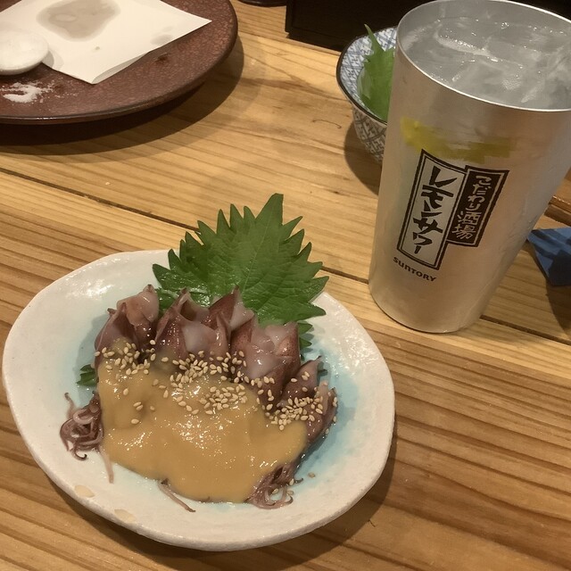 初台 魚ちゃん的實拍高清圖