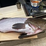 元あざぶ くしま的实拍图