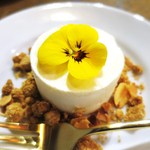 コチト ハナトオカシト的實拍圖