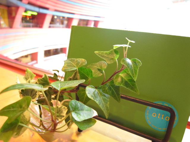 カフェオットー シクロ的實拍高清圖