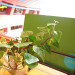 カフェオットー シクロ的實拍圖